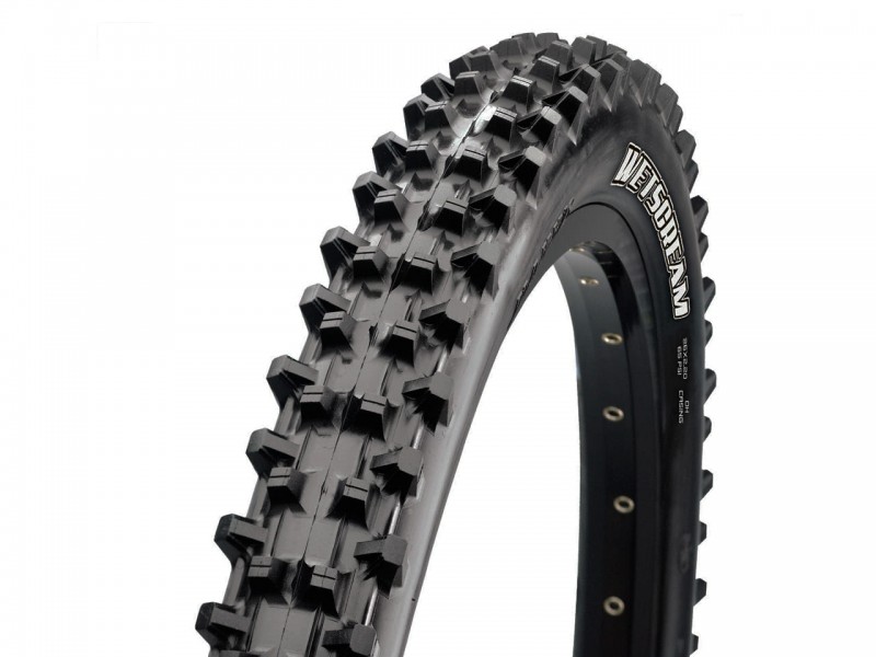 Покрышка на велосипед 29"x2.50" Maxxis Wetscream (63-622) складная 3CG/DH/TR 2x60TPI
