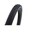 RaceGuard